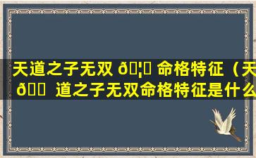 天道之子无双 🦄 命格特征（天 🐠 道之子无双命格特征是什么）